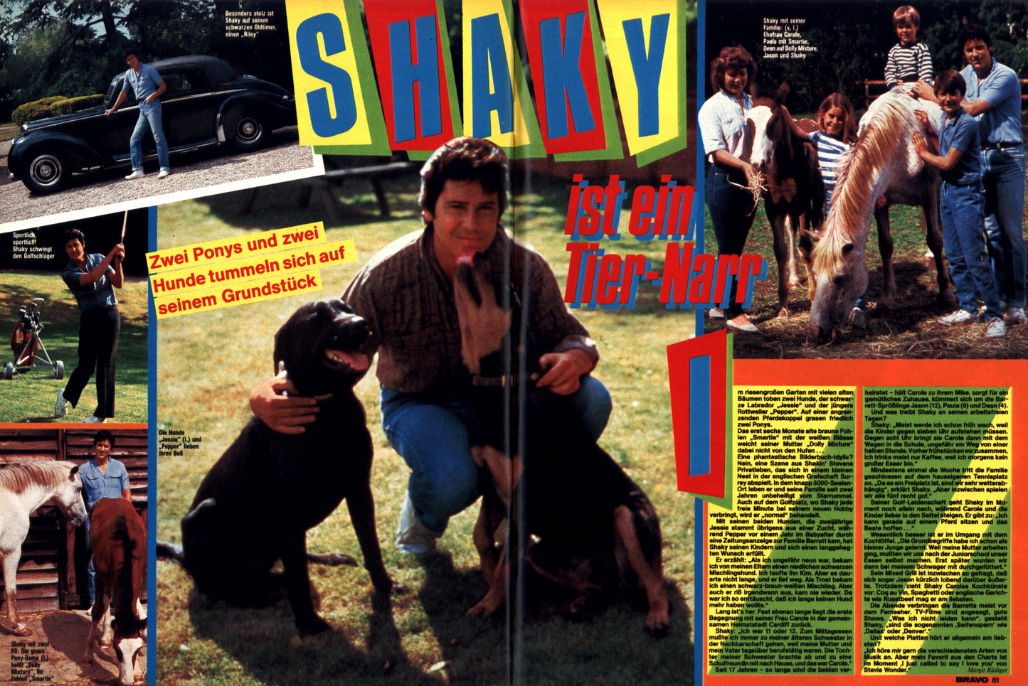 BRAVO Legenden Vol. 11 - SHAKIN' STEVENS