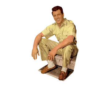 BRAVO Starschnitt Rock Hudson