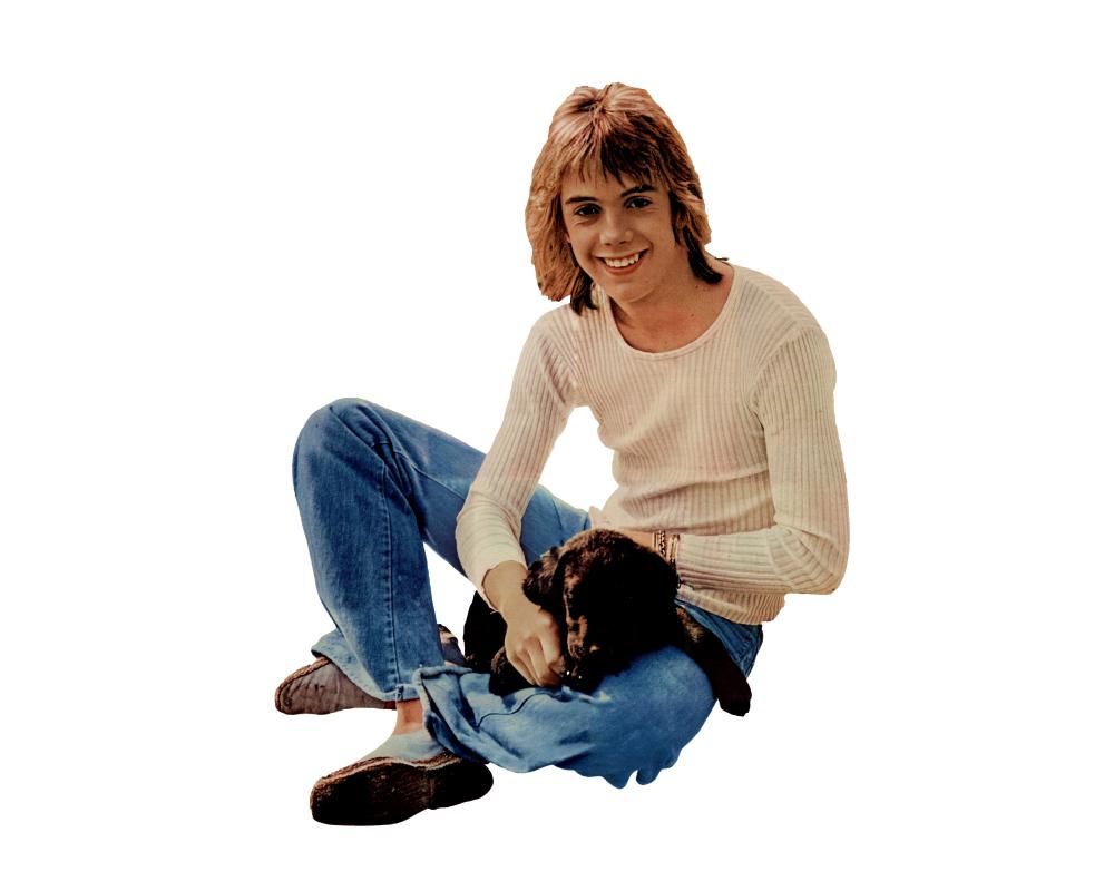 BRAVO STARSCHNITTE in Einzelteilen - Alle Starschnitte zum Download - 053 Shaun Cassidy