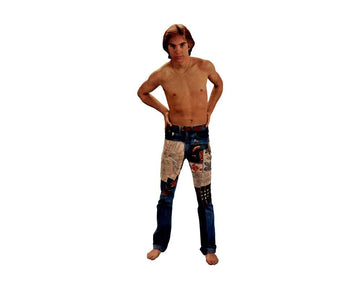 BRAVO Starschnitt Shaun Cassidy II