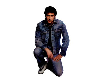 BRAVO Starschnitt Shakin' Stevens II